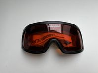 Skigoggles