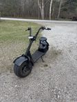 fat bike