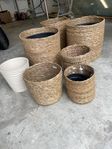 Krukor 