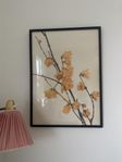 Svart 50*70 ram med blomprint