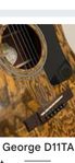Washburn George D11TAN