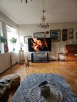 tv tcl soundbar  65 tum