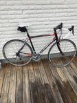 Lapierre Racer medium