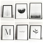Inramade posters 