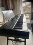 Yamaha CP88 med stativ och case 