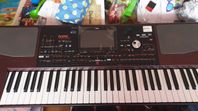 KORG PA1000