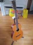 Levin gitarr
