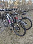 hybridcykel dam och herr
