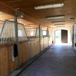 Boxplats/stallplats