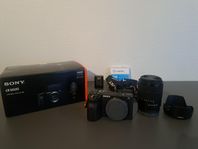 Sony a6600 + Sony e 18-135mm F3.5-5.6 OSS