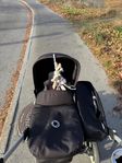 Intressekoll! Bugaboo Donkey 2 Mono Svart