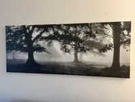 Tavla Ikea 