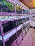2 st akvarie ställningar