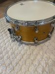 Mapex maple virvel 14 x 7