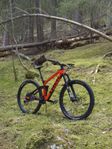 Trek Slash 9,8 L