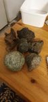 inredning till akvarium 