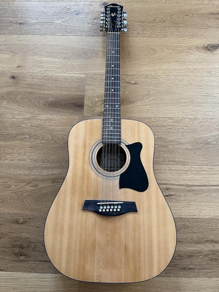 12 strängad Ibanez.