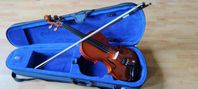 violin