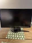 Skärm 144hz Asus