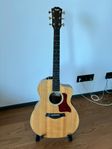 Taylor 214ce-FS DLX med uppgraderingar