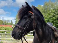 Hyllings Gustur från Rimbo-Ekeby