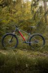 Trek Roscoe 6