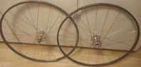 Campagnolo Record 24-ekershjul HF