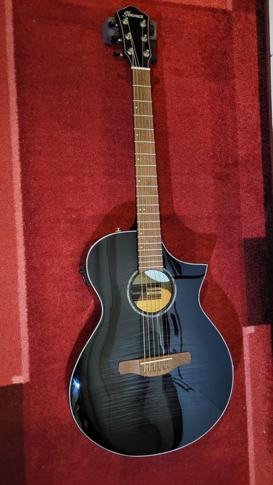 Ibanez AEWC400