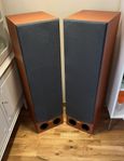 PROSON Twin 2010SA kraftfulla golvhögtalare, 300 Watt.