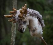 Käpphäst tillsalu! 