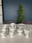 Rosenthal Björnbär kaffeservis 35 delar