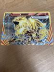 Arcanine BREAK Pokémon kort