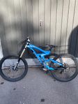 Scott Gambler DH
