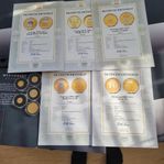 5 Mynt med 24K Guld överdrag