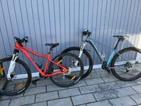 Mountinbikes herr o dam