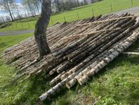 björkved massaved i längder medellängd ca4.5 meter