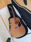 Gitarr country & Western