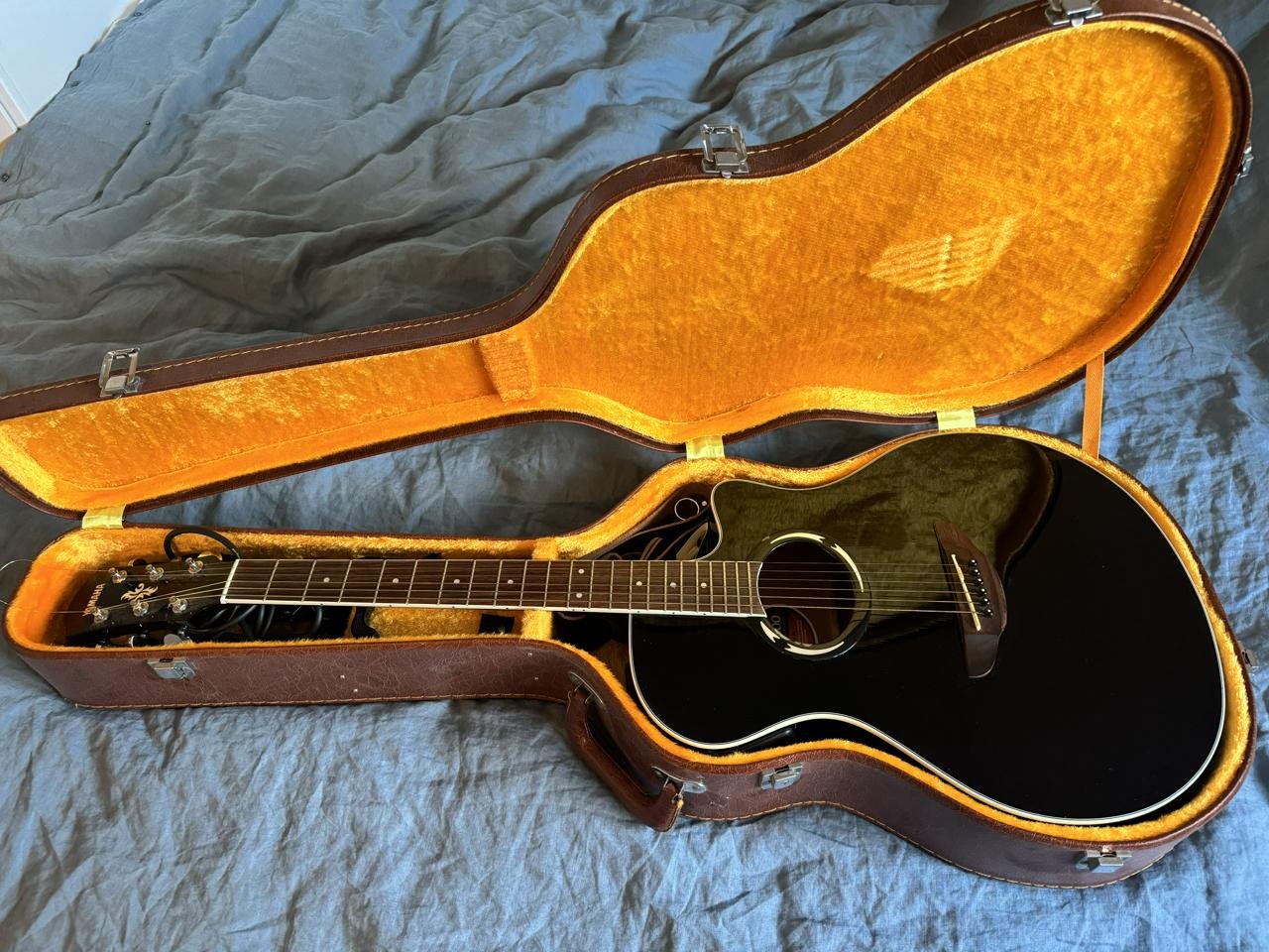 Yamaha APX500 med hardcase