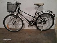 Nishiki Mountain Bike
