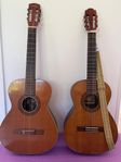 2 Gitarrer