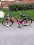 20" flickcykel