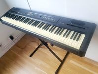 Digital Piano Thomann DP-25