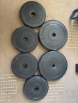 viktskivor vikter  29 mm 20 kg