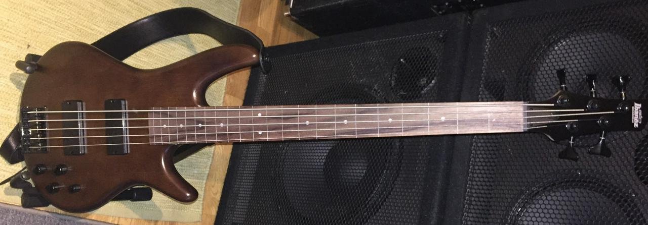 Ibanez GSR205BF 5-strängad ba...