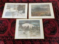 Lindorm Liljefors 3st litografier inkl plansch