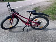 MTB 24”
