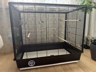 Stor fågel bur-Savic Primo 60 knockdown black 80x50x70cm