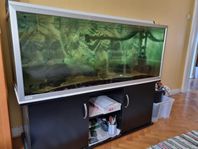 Akvarium 540 l och möbel 