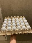titleist prov1 