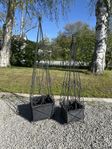 krukor dekoration trädgård plantering